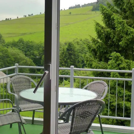 2 Separate Flats With Balcony On The Slope Apartment Willingen (Upland)