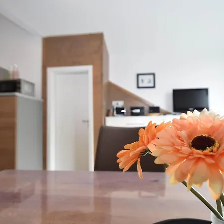 2 Separate Mit Balkon An Der Skipiste Apartamento *