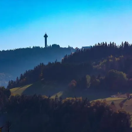 Apartment 2 Separate Mit Balkon An Der Skipiste *