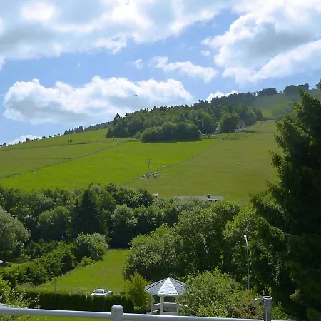 Apartment 2 Separate Flats With Balcony On The Slope Willingen (Upland)