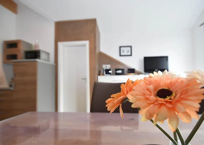 2 Separate Mit Balkon An Der Skipiste Apartment *